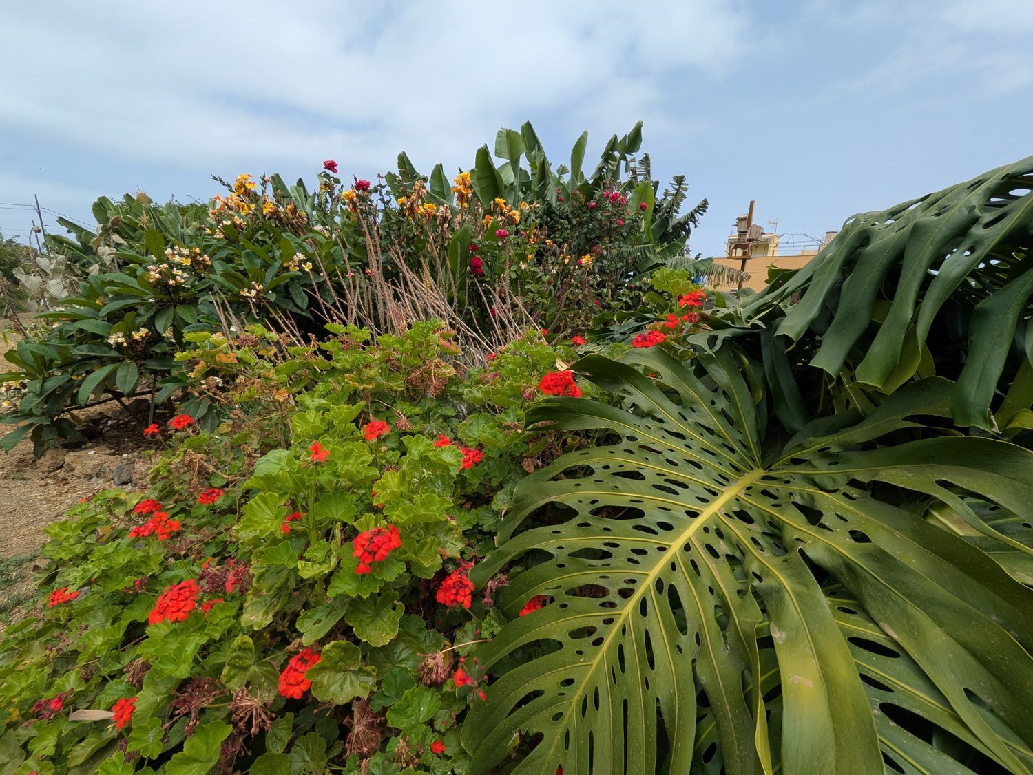 Casa rural en camino Carril, 39 - Foto 18