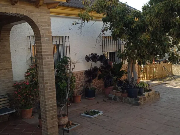 Finca rústica en Calle Sócrates, 56 - Foto 6