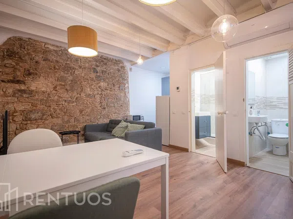 Estudio en calle de Ferran - Foto 10