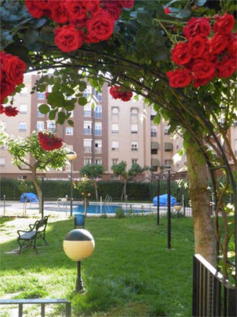 Piso en Zoco - Foto 4