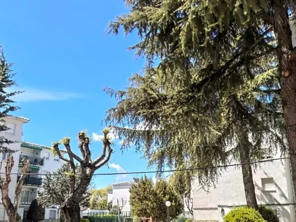 Piso en Urbanización Princialba, 3 - Foto 1