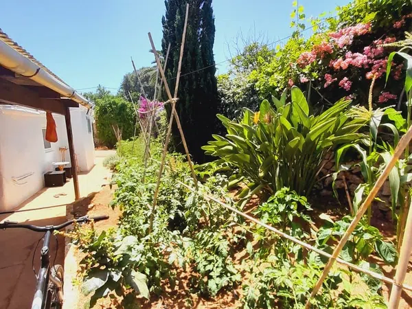 Finca rústica en Camino de Binifadet, 14 - Foto 4