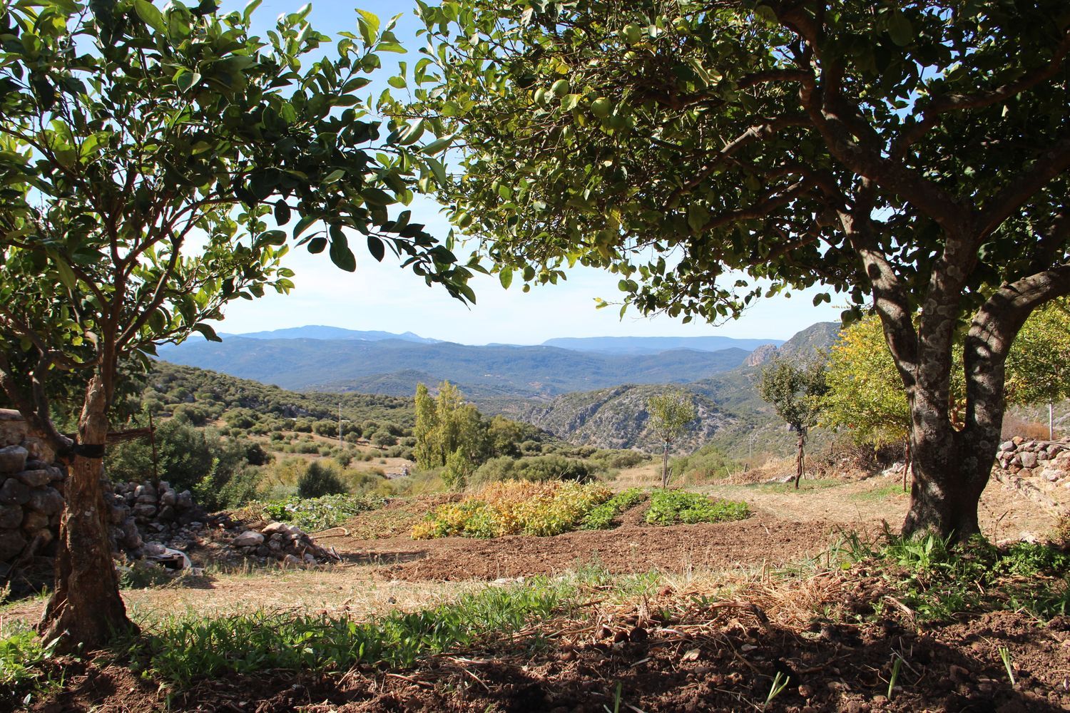 Casa rural en Avenida de Cadiz, 3 - Foto 38