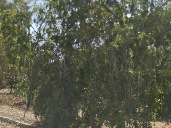 Finca rústica en Diseminados dirección a Puñanilla s/n - Foto 17