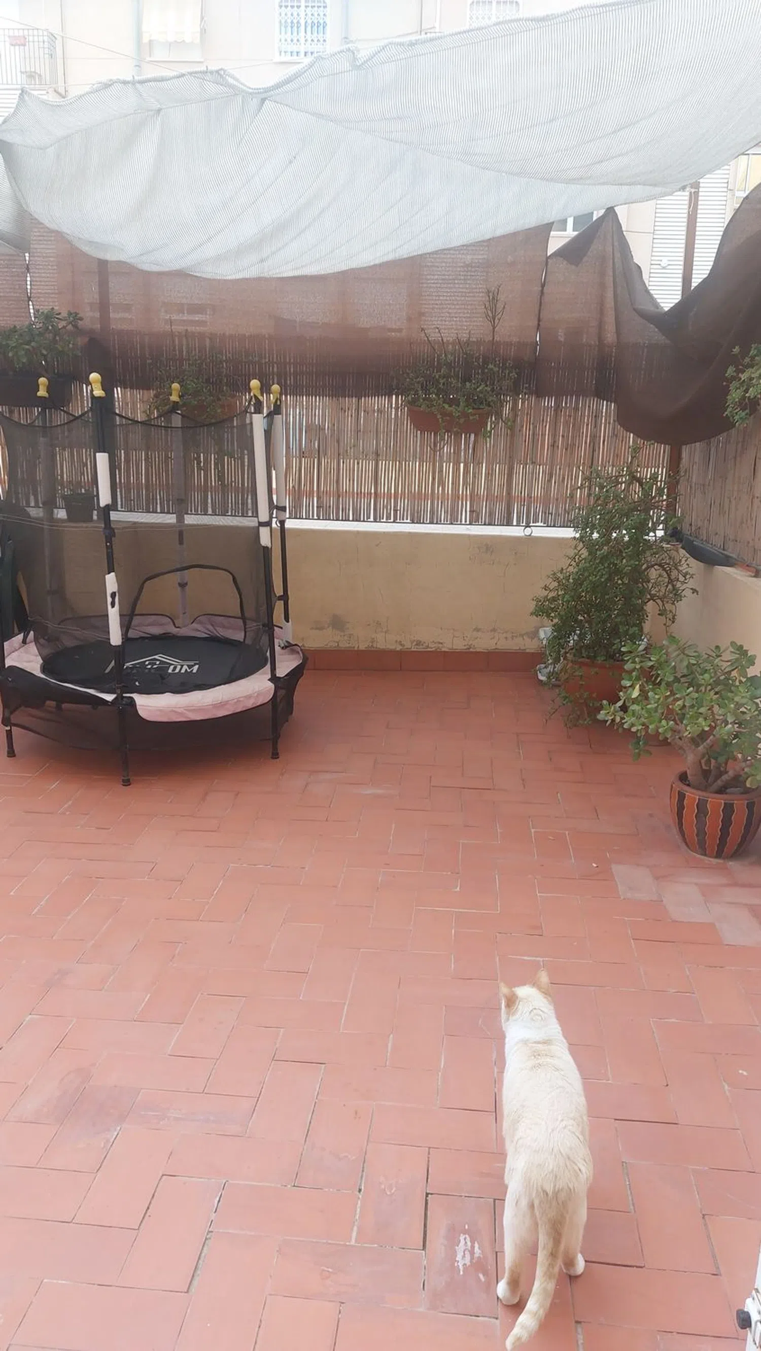 Piso en plaza Num 8 Res Urb, 63 - Foto 11