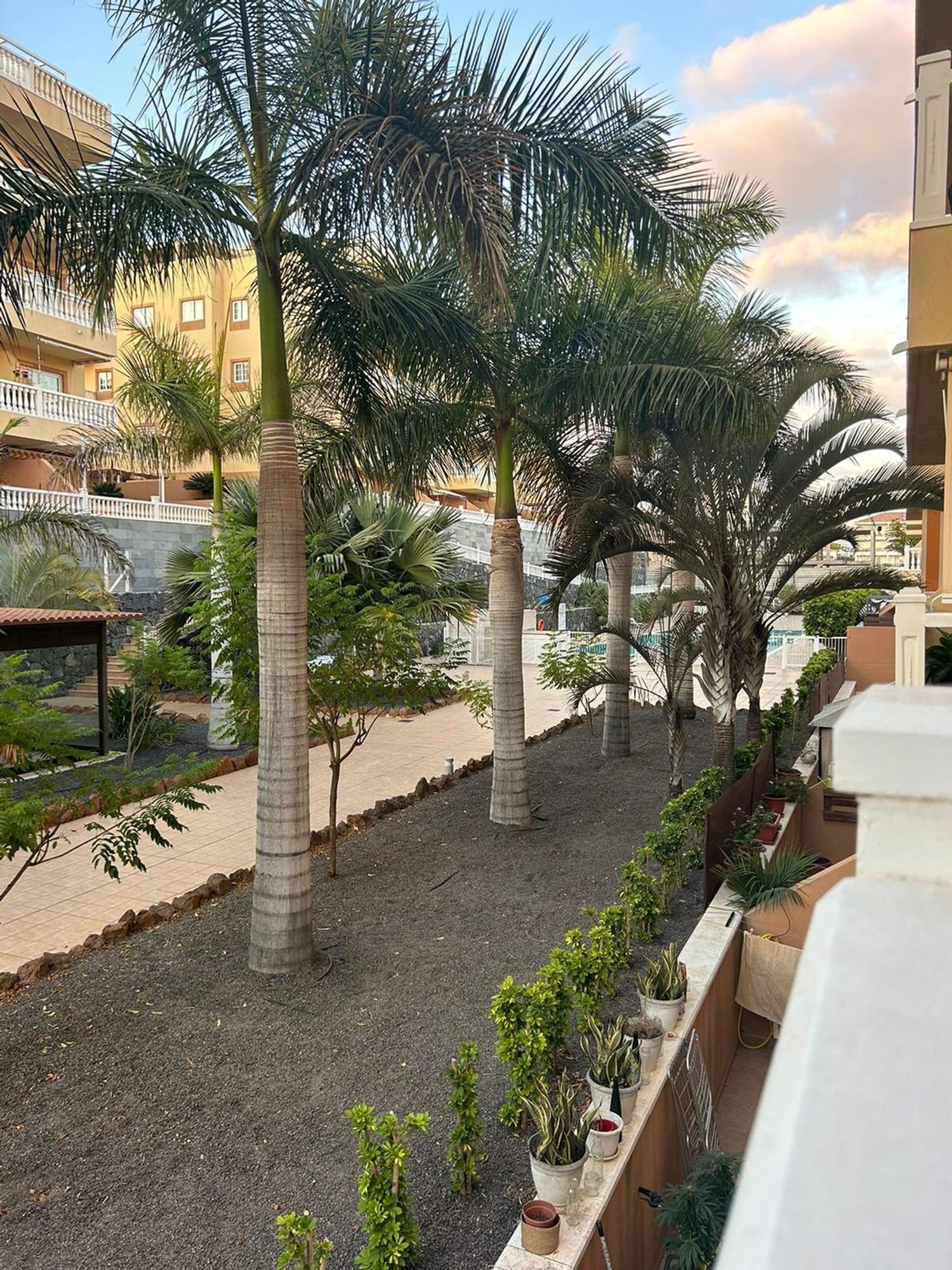 Piso en Calle Jilguero, 3, Palm Mar, Palm Mar - Foto 17