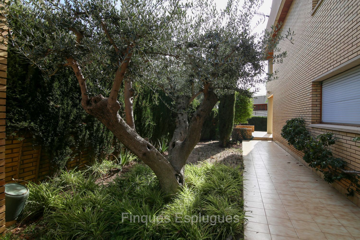 Casa o chalet independiente en Av Maestra Dolors Barcelo De, La Miranda - Ciutat Diagonal - Foto 7