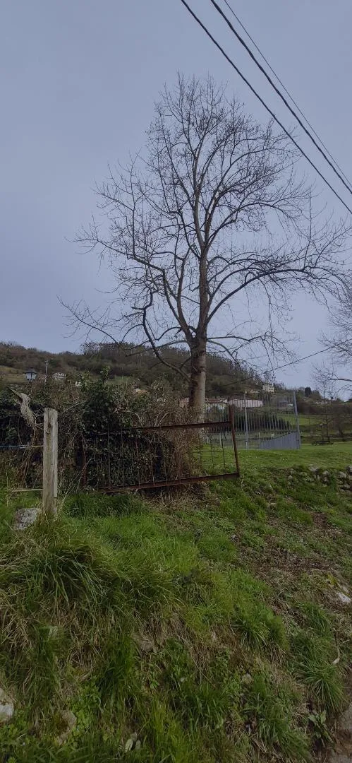 Finca rústica en  Lugar Godos 9 - Foto 11