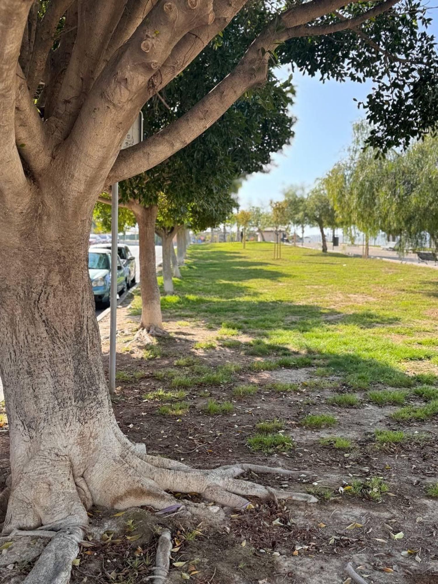 Piso en Glorieta del Reino Unido, 6 - Foto 17