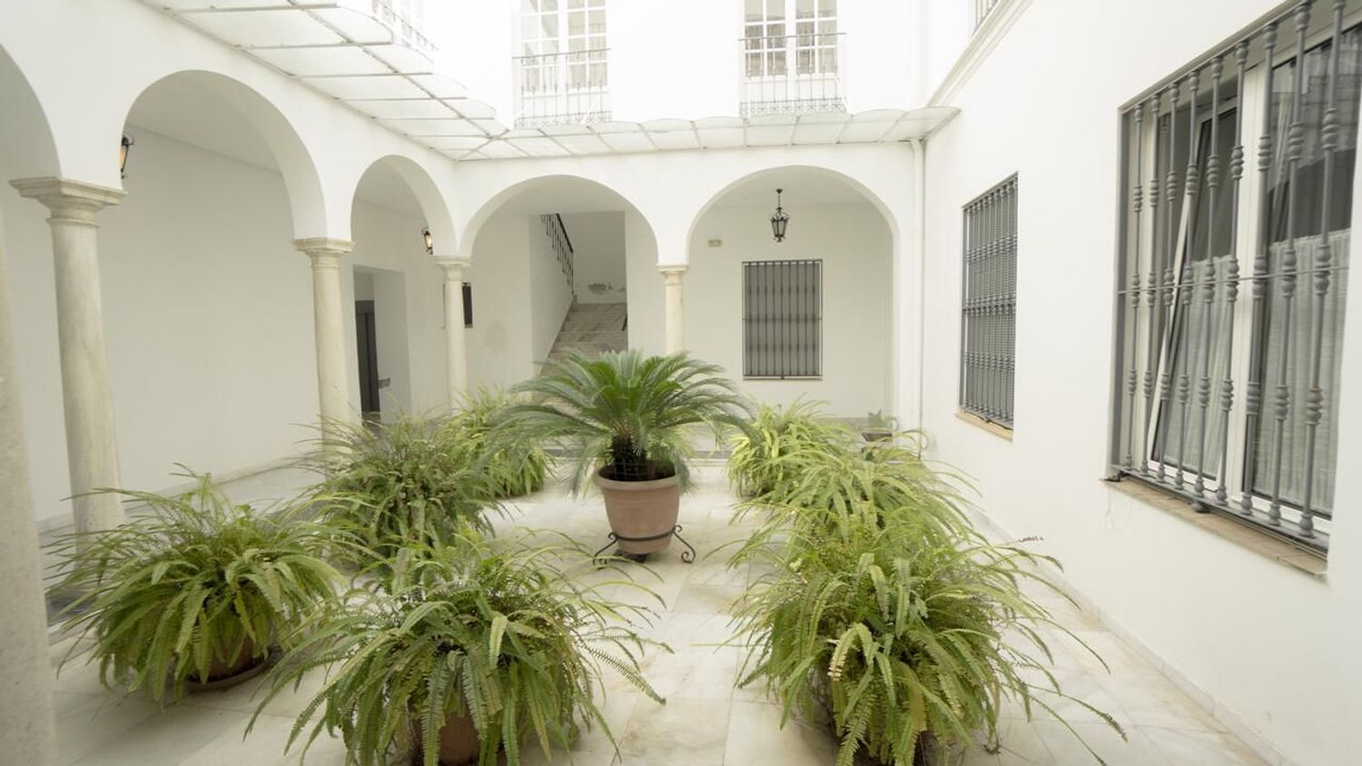 Estudio en calle tomás de ibarra, 5