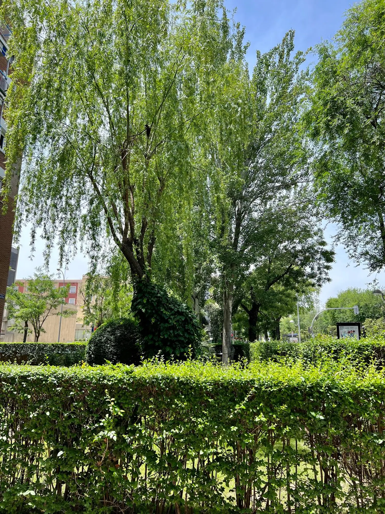 Piso en calle de Costa Rica, 32 - Foto 16