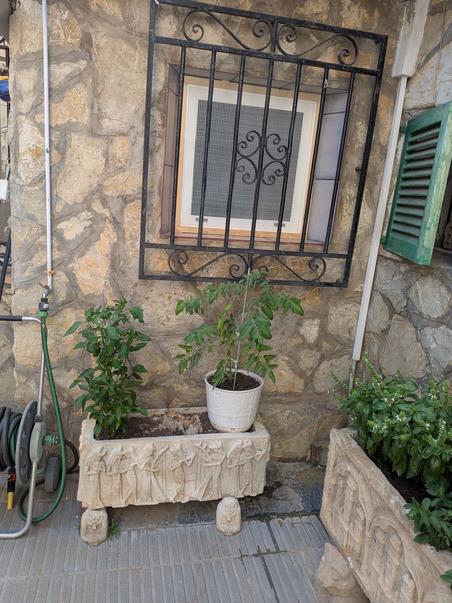 Chalet adosado en Calle de Jordi Martí Rosselló, 8, Camp Redo - Foto 38
