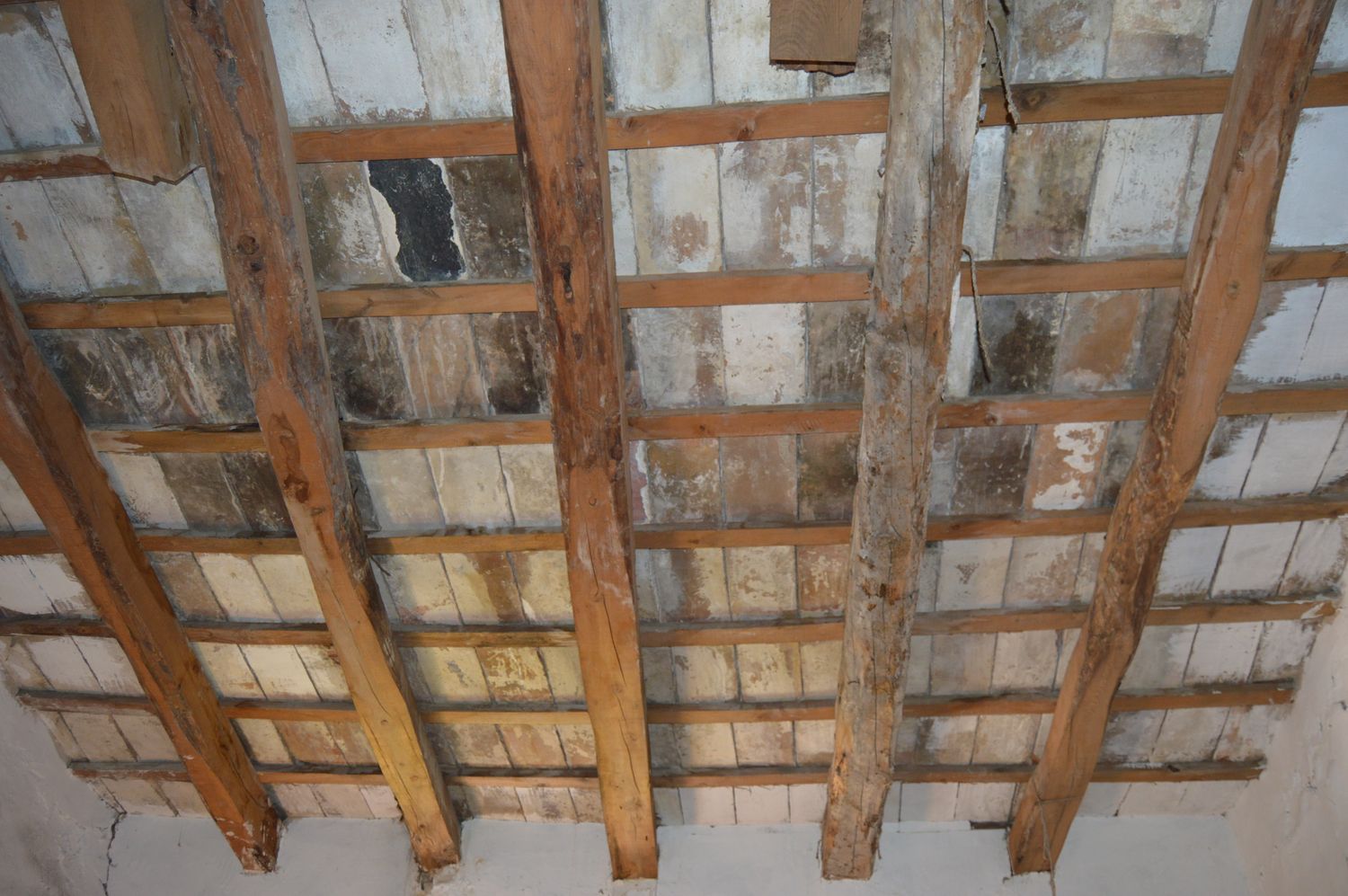 Chalet adosado en Calle Muret, 24 - Foto 4