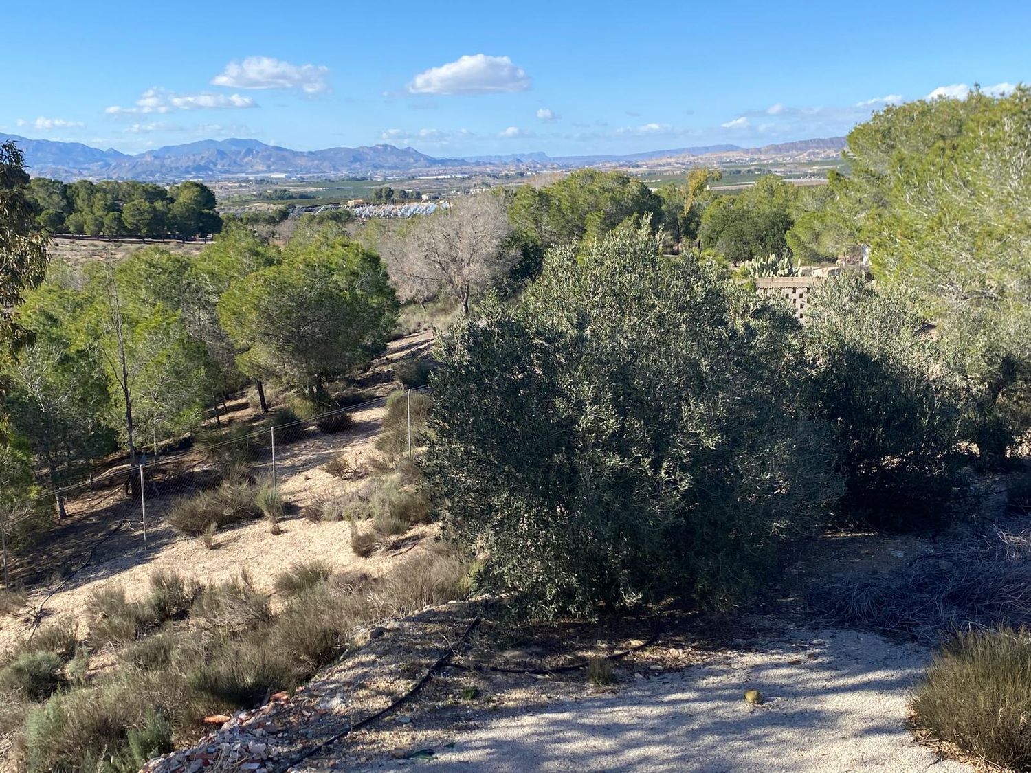 Casa independiente en camino de José Antonio Arnaldos s/n - Foto 28