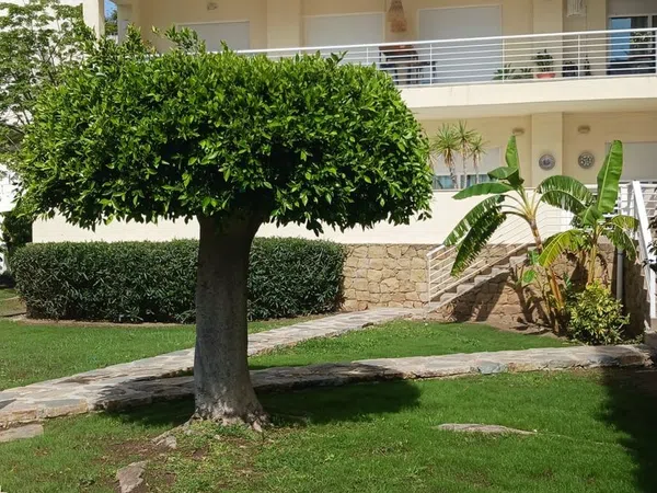 Piso en Calle Camelia, 75 - Foto 1