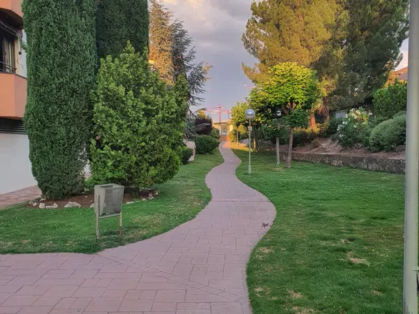 Piso en Avenida de Mallorca, 16, El Pinar- Punta Galea - Foto 16