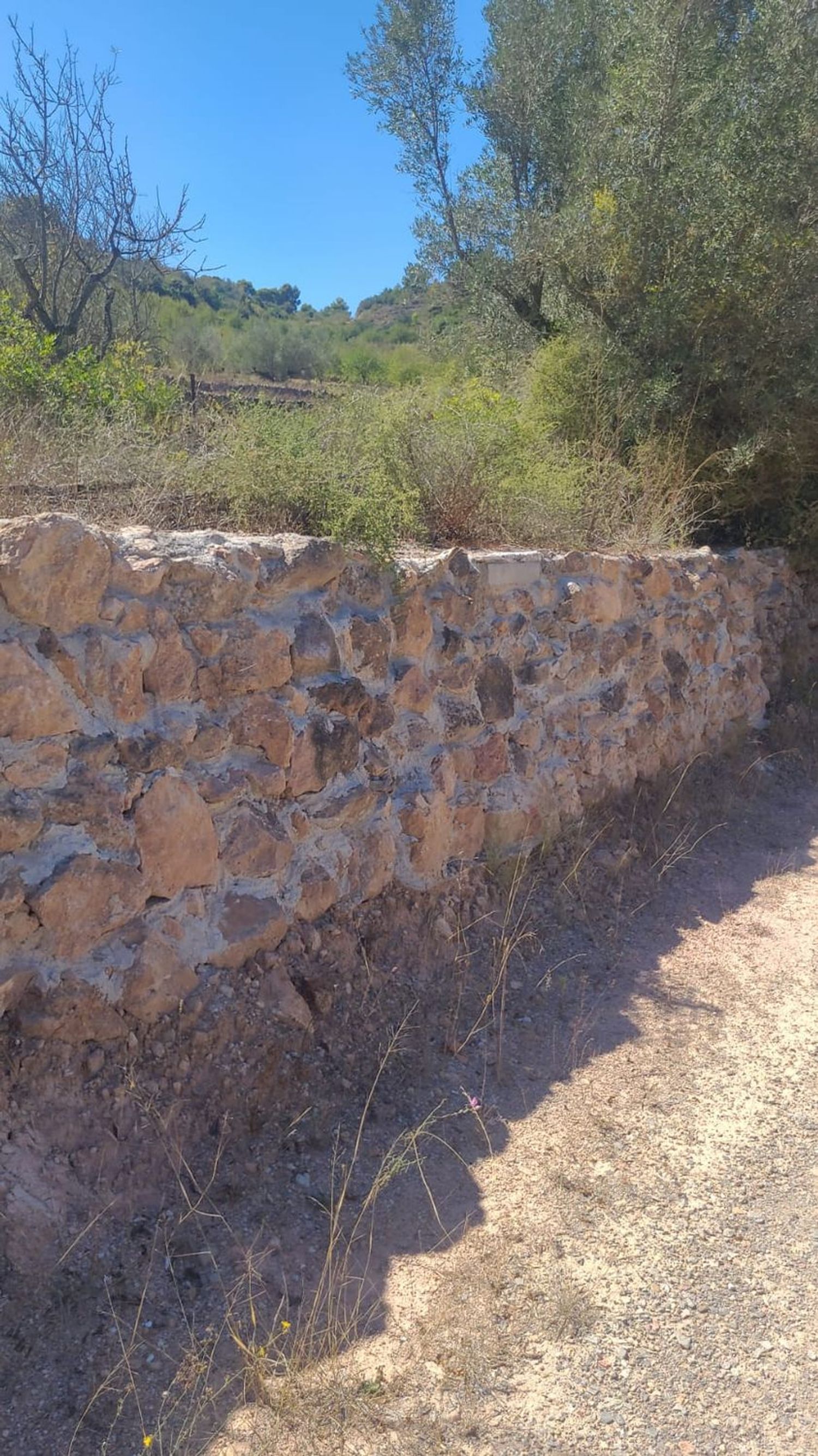 Casa rural en Cv-230 s/n - Foto 26