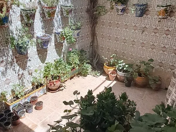Casa de pueblo en Calle Parrales, 20 - Foto 12