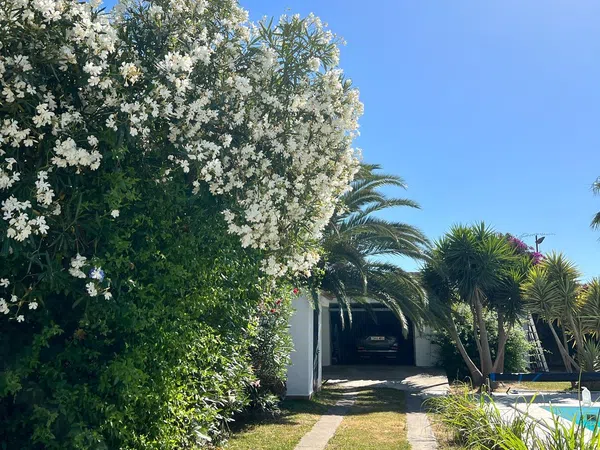 Casa o chalet independiente en Camino de la Macrocarpa, 23 - Foto 16