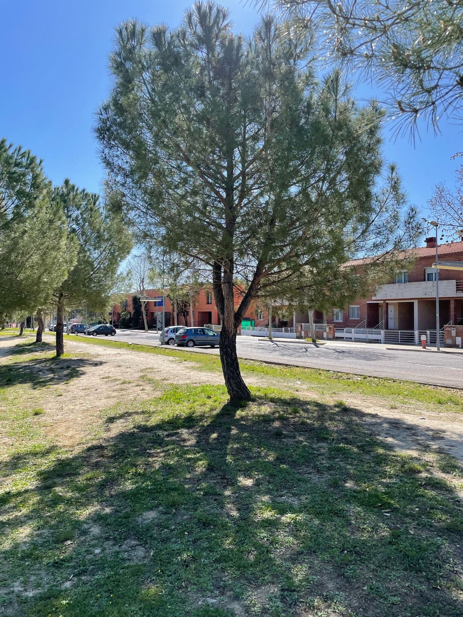 Chalet adosado en calle maria trulls i alguer, 2 - Foto 1