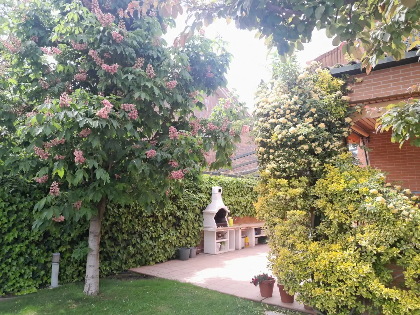 Chalet en  Calle Valladolid 31 - Foto 7