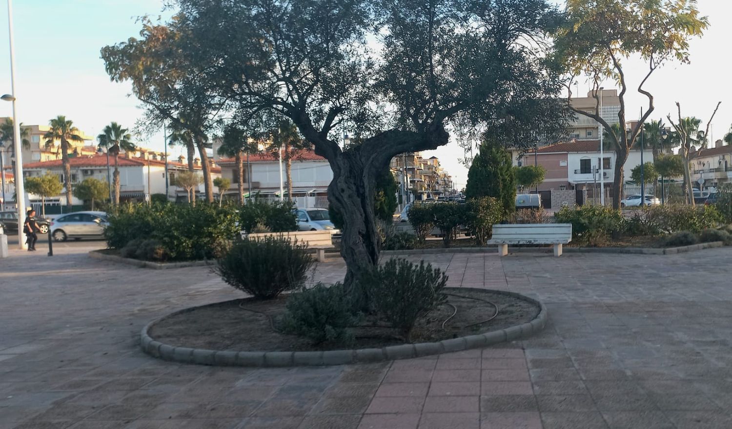 Chalet adosado en avenida Salamanca, 25 - Foto 15