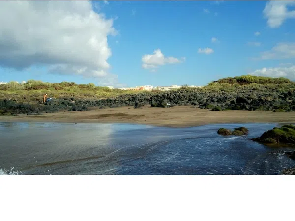 Piso en calle Montana Pardela, 12 - Foto 21