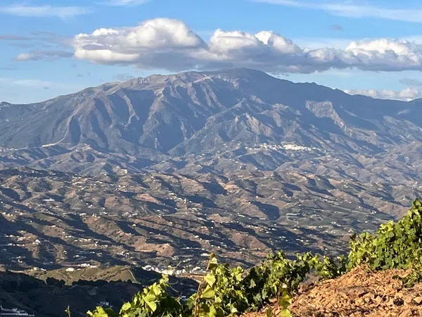 Finca rústica en Vereda de la Cuesta de Granadilla s/n - Foto 23