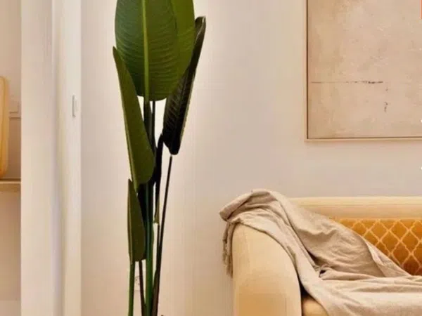 Piso en calle del Doctor Olóriz, 19 - Foto 6