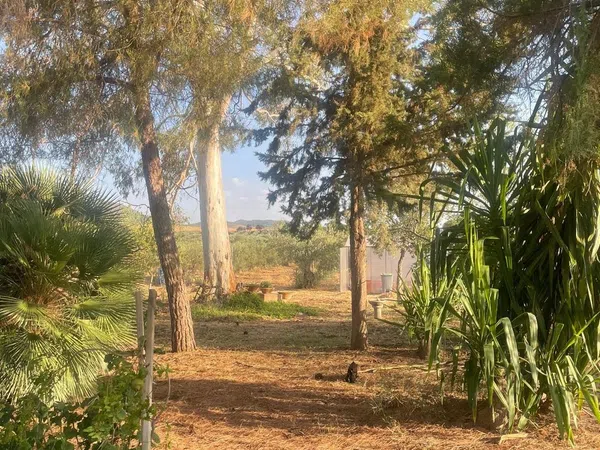 Cortijo en Ex-107 s/n - Foto 26