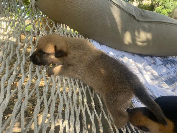 Ático en Calle Galera, 50, Arenal - Museo - Tetuán - Foto 17