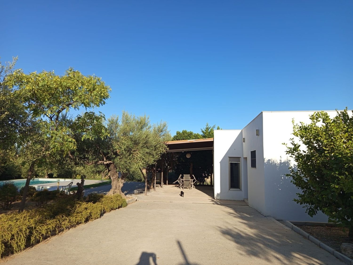 Casa o chalet independiente en Lugar Aulagar, 45, El Cigarral - Dehesa - Borrajo, El Cigarral - Dehesa - Borrajo - Foto 4