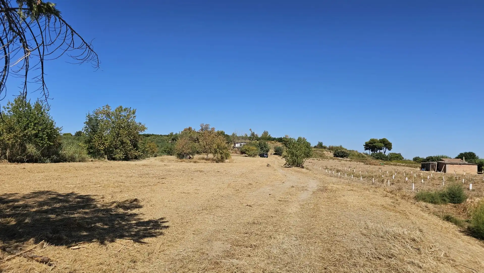 Finca rústica en  Partida Canet 5 - Foto 6