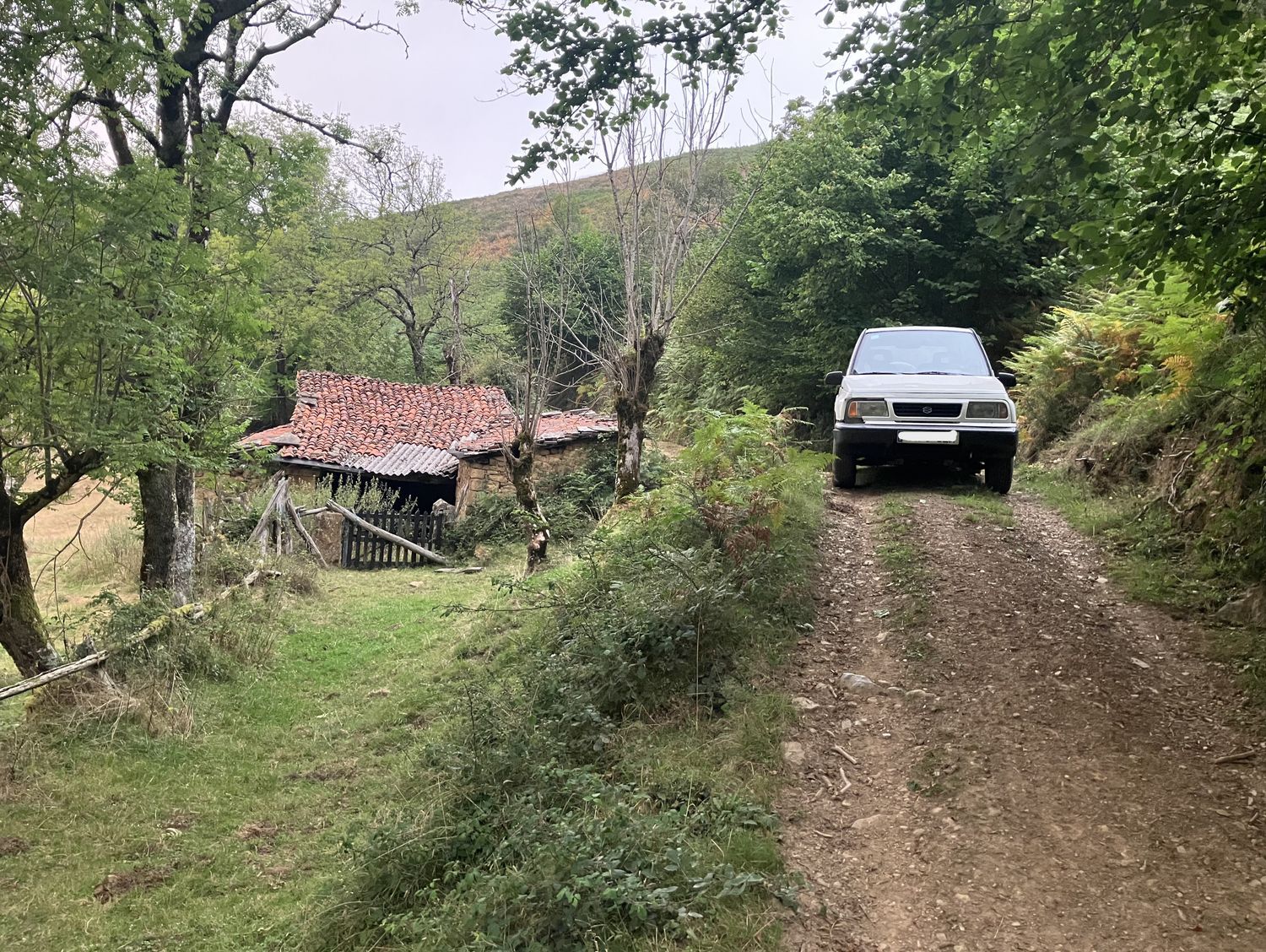 Finca rústica en Cebollin. Caso (asturias) s/n - Foto 5