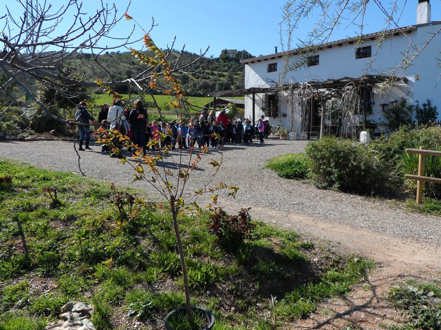 Casa rural en Paraje Amasaderos, 200 - Foto 6