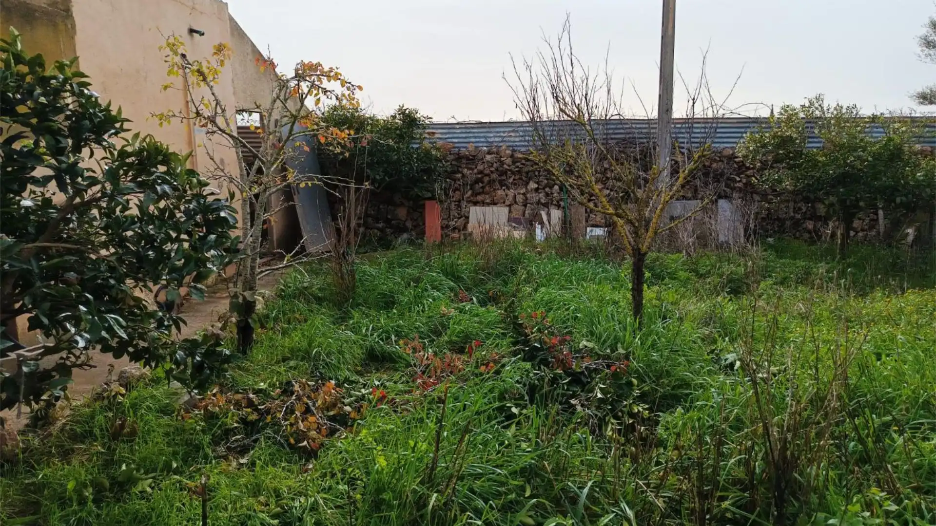 Finca rústica en  Camí Vell de Cala Pi 41 - Foto 13