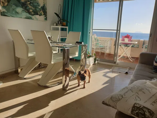 Estudio en avenida del Carmen, 45 - Foto 7