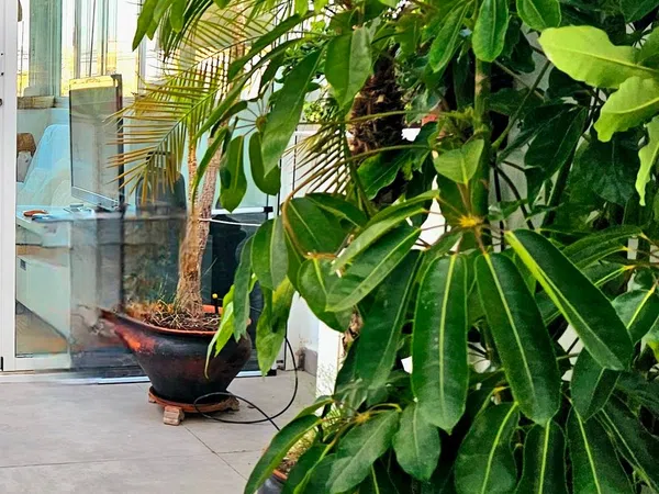 Ático en calle Alcala, 2 - Foto 10