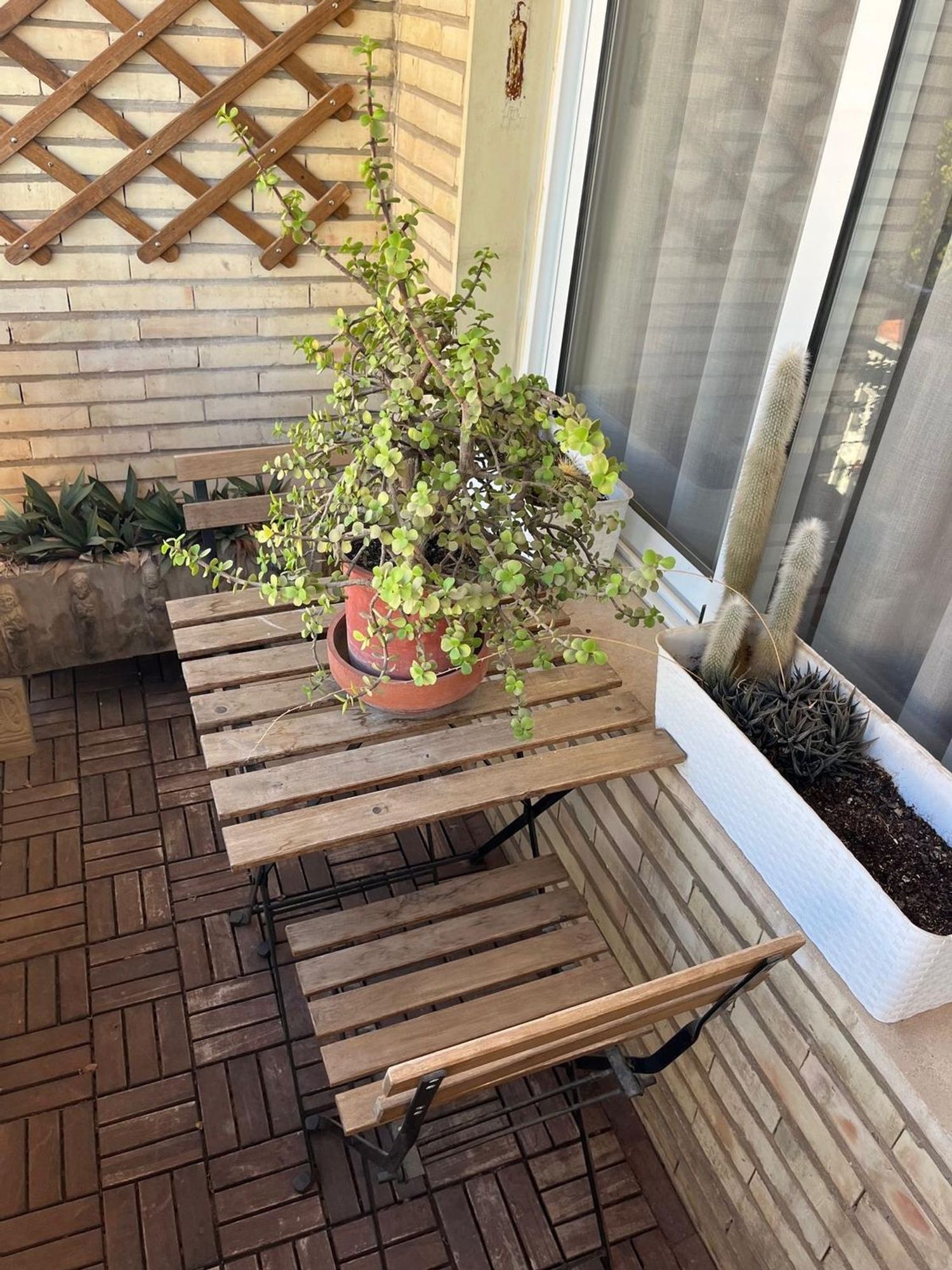 Piso en El Botànic, El Botànic - Foto 12