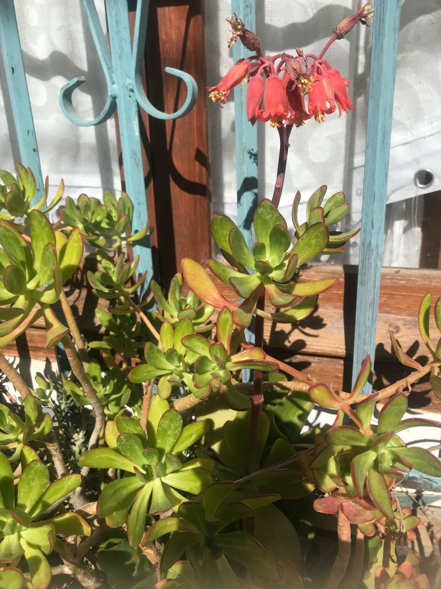 Casa de pueblo en Trillo, 7 - Foto 2