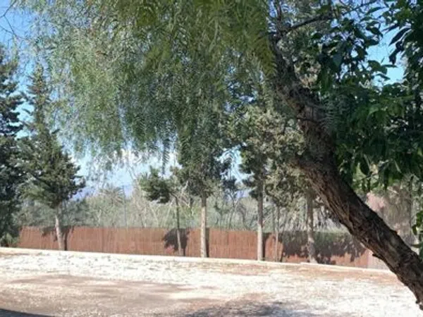 Casa rural en Cv-853, 2028, La Marina, La Marina - Foto 34