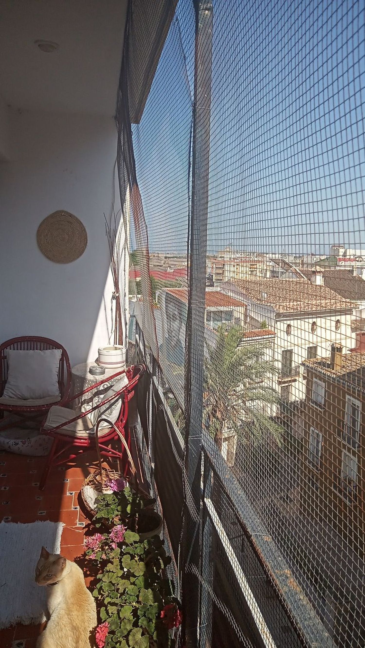 Piso en Mezquita del Raval, 4, Benipeixcar - El Raval, Benipeixcar - El Raval - Foto 19