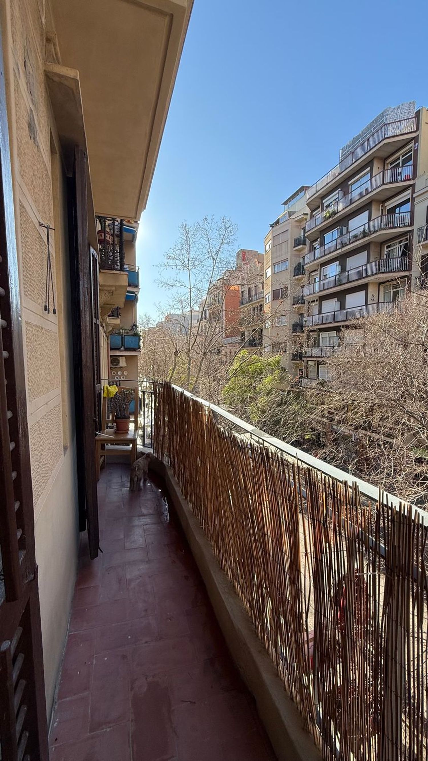 Piso en Calle de la Marina, 249 - Foto 1