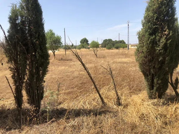 Finca rústica en Vereda de los Cantos, 1 - Foto 8