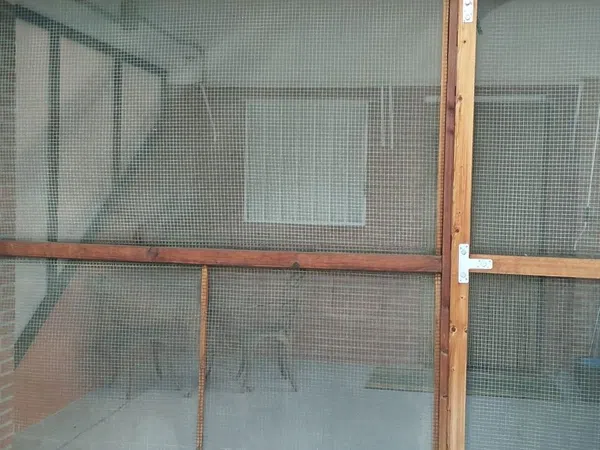 Estudio en camino de Rojas, 24
