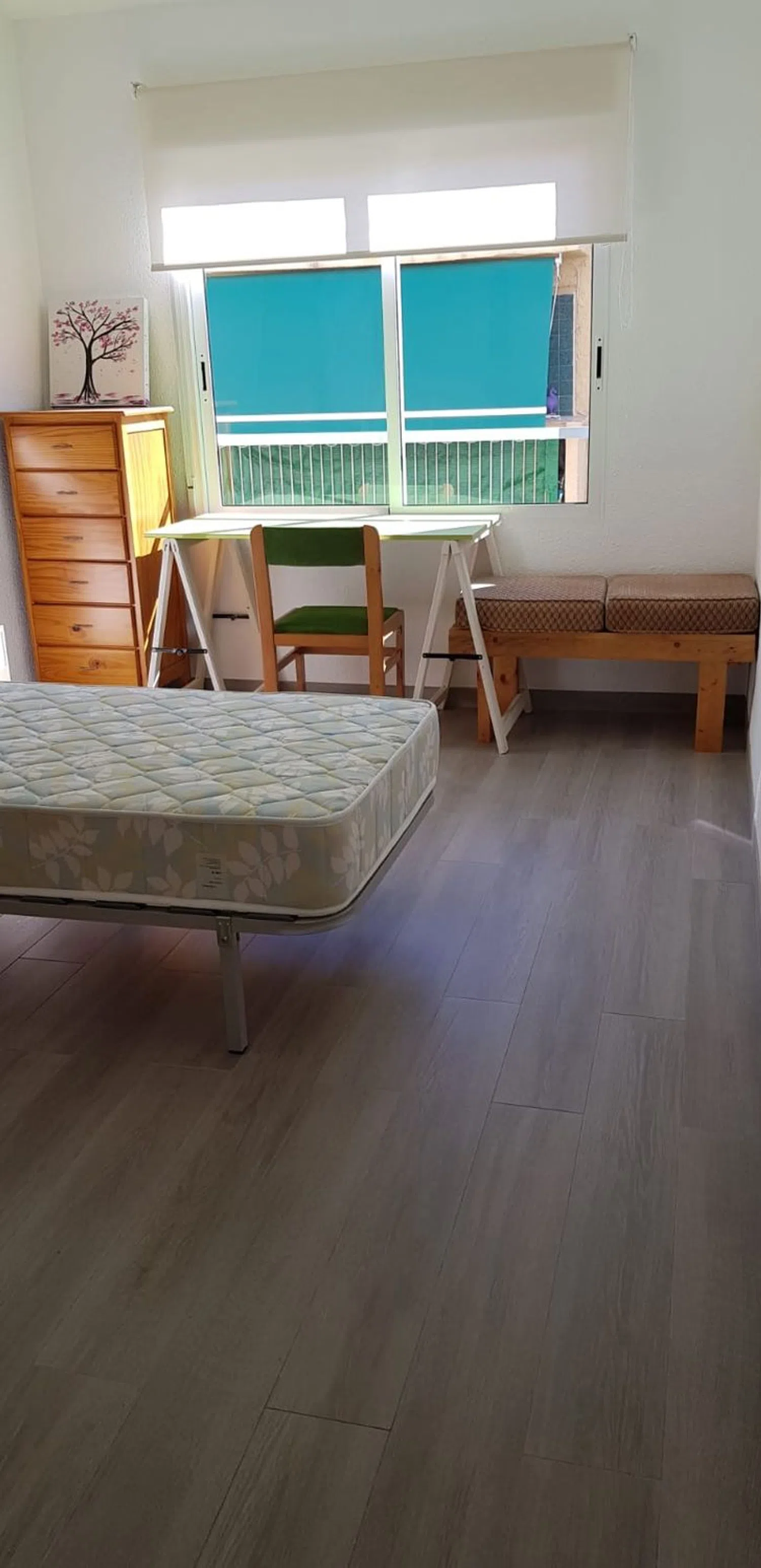 Piso en calle Hernán Cortés, 15 - Foto 12