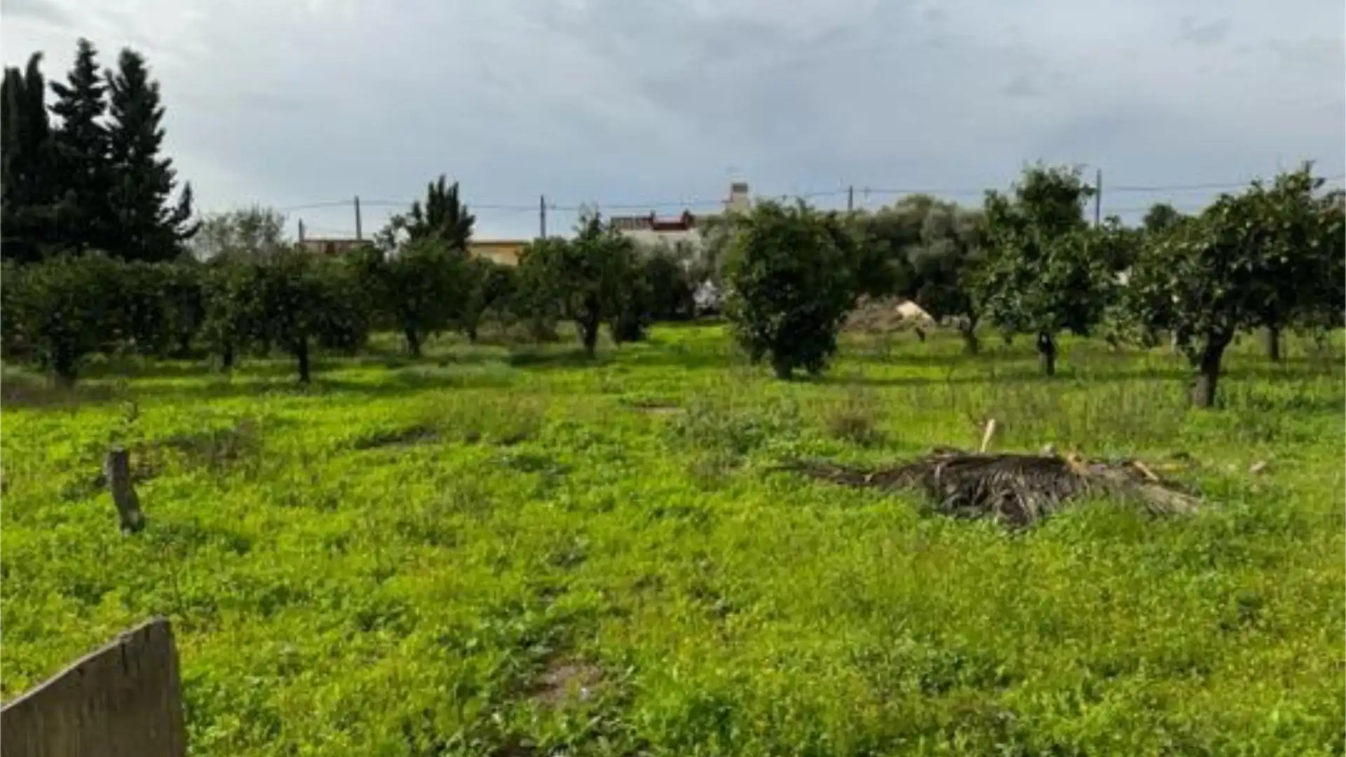 Casa adosada en Zona Norte - Foto 4