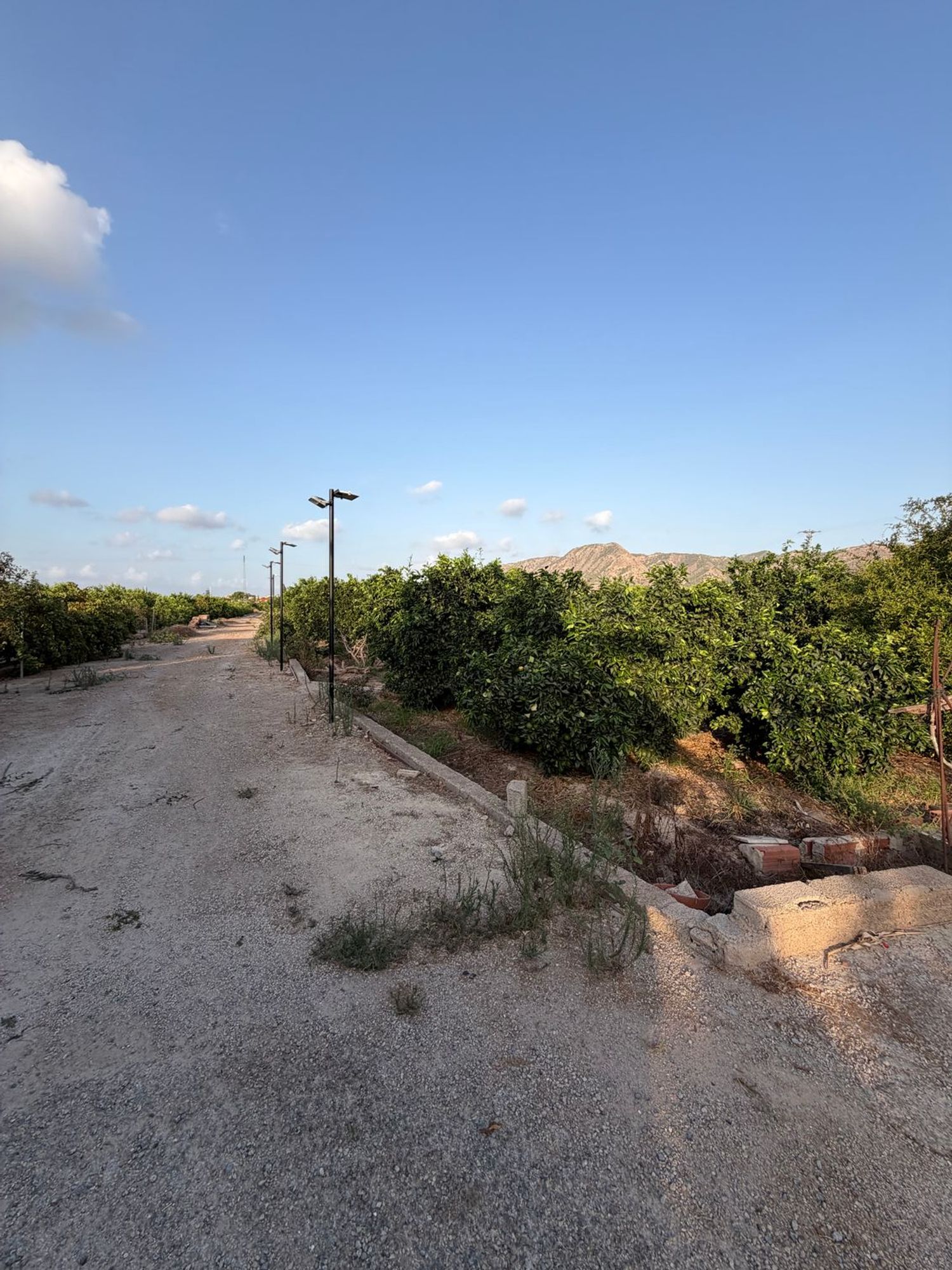 Finca rústica en Camino de los Plazas, 16, San José de la Vega - Foto 31