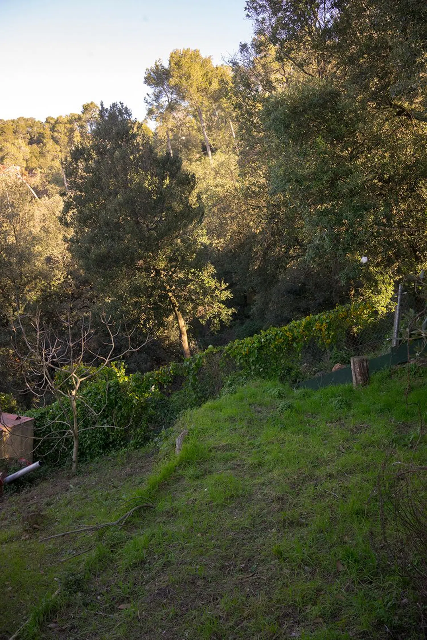 Casa independiente en calle Lila, 16 - Foto 19