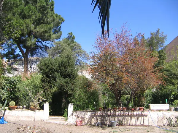 Casa de pueblo en Calle Cerrico de las Moyas, 34 - Foto 33
